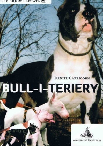 Bull-i-teriery - Daniel Capricorn