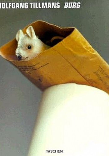 Burg - Wolfgang Tillmans, David Deitcher