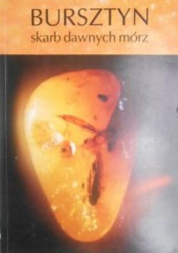 Bursztyn skarb dawnych mórz - praca zbiorowa