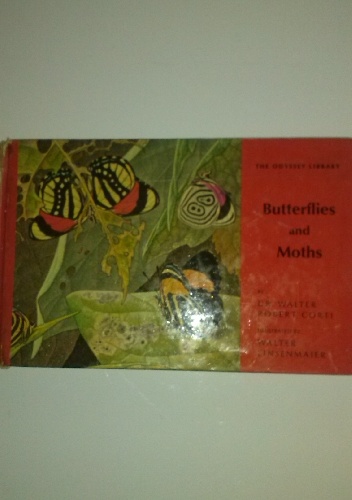 Butterflies and Moths - Walter Robert Corti