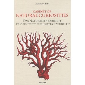 Cabinet of Natural Curiosities - Albertus Seba