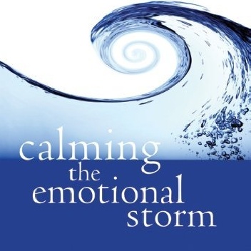 Calming the Emotional Storm: Using Dialectical Behavior Therapy Skills to Manage Your Emotions and Balance Your Life - Sheri Van Dijk