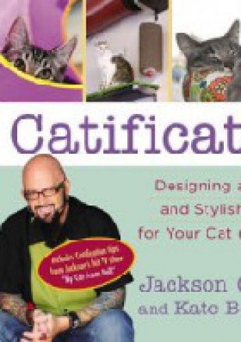 Catification. Desining happy and stylish home for your cat and you