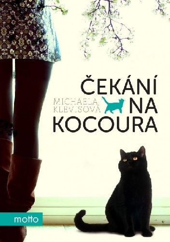 Čekání na kocoura - Michaela Klevisová