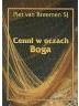 Cenni w oczach Boga - Piet Van Breemen SJ