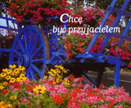Chcę być przyjacielem. Perełka 55 - praca zbiorowa