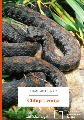 Chłop i żmija - Adam Mickiewicz