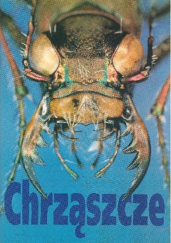 Chrząszcze
