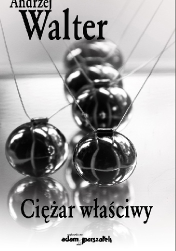 Ciężar właściwy - Andrzej Walter