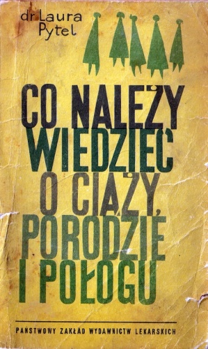 Co należy wiedzieć o ciąży, porodzie i połogu - Laura Pytel
