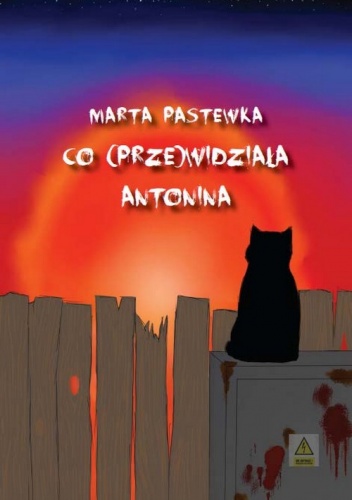 Co (prze)widziała Antonina - Marta Pastewka, Marta Pastewka
