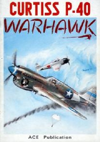Curtiss P-40 Warhawk - Przemysław Skulski