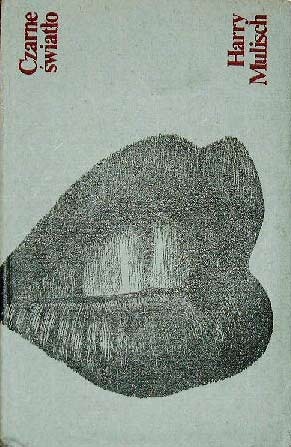 Czarne światło - Harry Mulisch