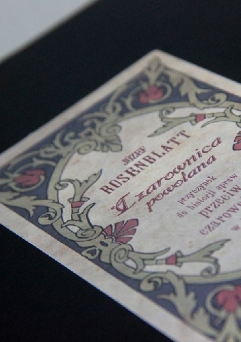 Czarownica powołana. Przyczynek do historji spraw przeciw czarownicom w Polsce - Józef Rosenblatt