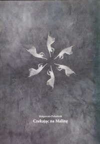 Czekając na Malinę - Małgorzata Południak