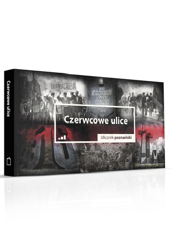 Czerwcowe ulice. Ulicznik poznański - Paweł Cieliczko