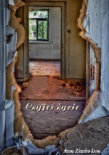 Czyjeś życie - Anna Ziemba-Lonc