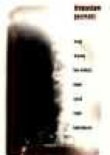 Dalej. Inaczej. Bez miłości. Zjazd. Zapis. Intermezzo - Bogusław Jasiński