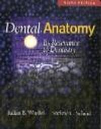 Dental Anatomy Its Relevance to Dentistry - Julian B. Woelfel, Rickne C. Scheid