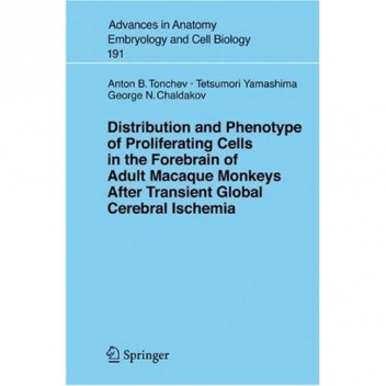 Distribution and Phenotype of Proliferating Cells in the Forebrain of Adult Macaque Monkeys after Transient Global Cerebral Ischemia