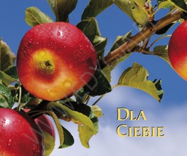 Dla Ciebie - praca zbiorowa