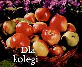 Dla kolegi - praca zbiorowa