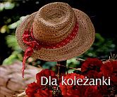 Dla koleżanki - praca zbiorowa