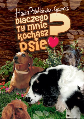 Dlaczego ty mnie kochasz, psie? - Hanka Paluśkiewicz