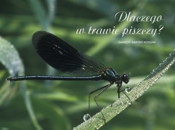 Dlaczego w trawie piszczy? - Simona Kossak