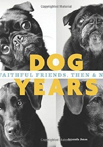 Dog Years: Faithful Friends, Then & Now - Amanda Jones