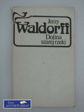 Dolina szarej rzeki - Jerzy Waldorff