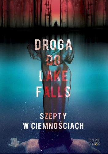 Droga do Lake Falls. Szepty w ciemnościach - Artur K. Dormann