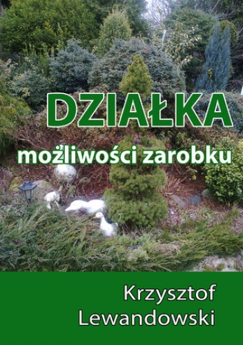 Działka. Możliwości zarobku - Krzysztof Lewandowski