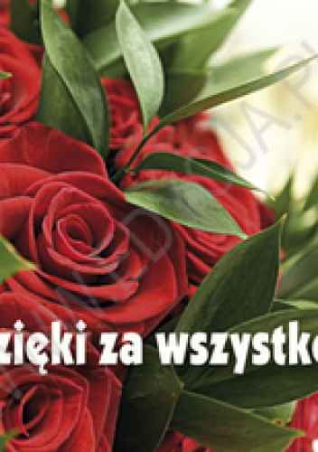 Dzięki za wszystko! Perełka 191 - praca zbiorowa