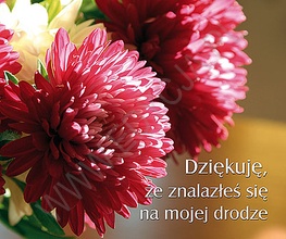 Dziękuję, że znalazłeś się na mojej drodze. Perełka nr 182 - praca zbiorowa