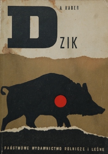 Dzik - Aleksander Haber