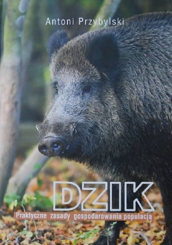 Dzik. Praktyczne zasady gospodarowania populacją - Antoni Przybylski