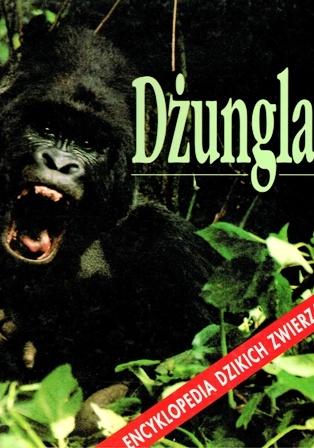 Dżungla - Catherine Nicolle