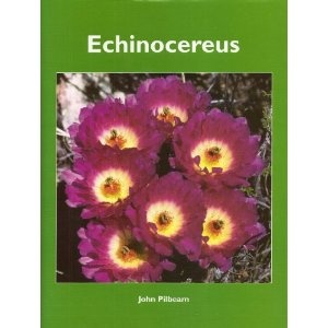 Echinocereus - John Pilbeam