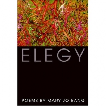 Elegy - Mary Jo Bang