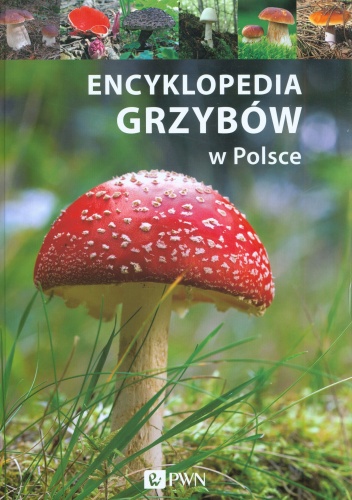 Encyklopedia grzybów w Polsce - Katarzyna Kucharczuk, Anna Rossa