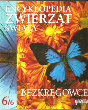 Encyklopedia zwierząt świata. Bezkręgowce - praca zbiorowa