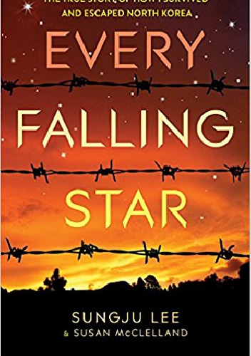 Every Falling Star - Sungju Lee