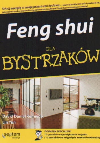Feng shui dla bystrzaków - Daniel David Kennedy,  Lin Yun