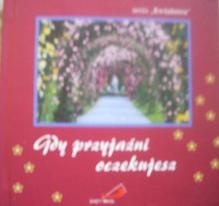 Gdy przyjaźni oczekujesz - Camilla Petri