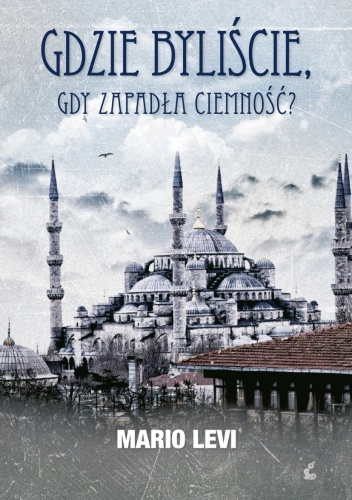 Gdzie byliście, gdy zapadła ciemność? - Mario Levi