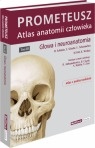 Głowa i neuroanatomia PROMETEUSZ Atlas Anatomii Człowieka