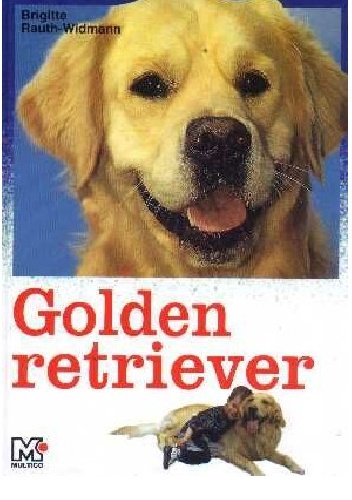 Golden Retriever - Brigitte Rauth-Widmann