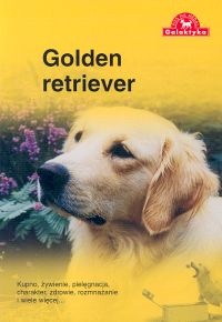 Golden retriever - Zespół Over Dieren
