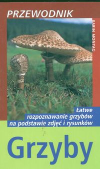 Grzyby. Przewodnik - Karin Montag